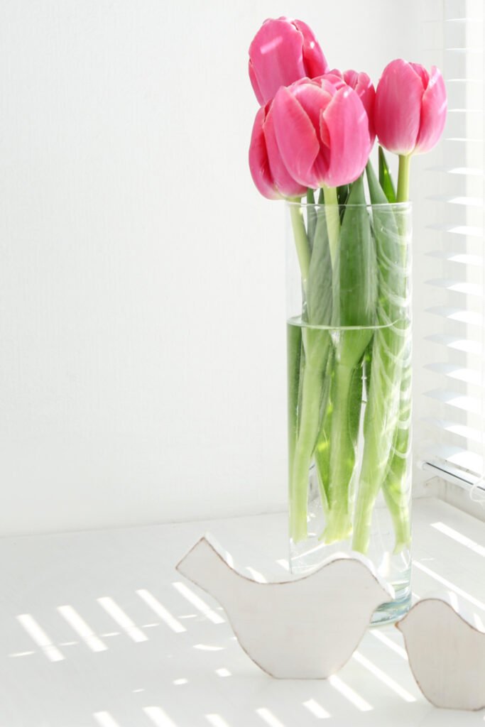 Spring-Cleaning-683x1024
